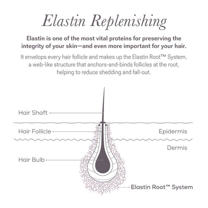 NULASTIN LASH and BROW Dual System